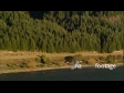Forestry Aerial 3 AERIAL 3214